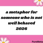metaphor for someone who is not well-behaved