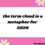 the term cloud is a metaphor for