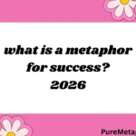 what is a metaphor for success?