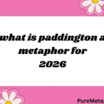 what is paddington a metaphor for