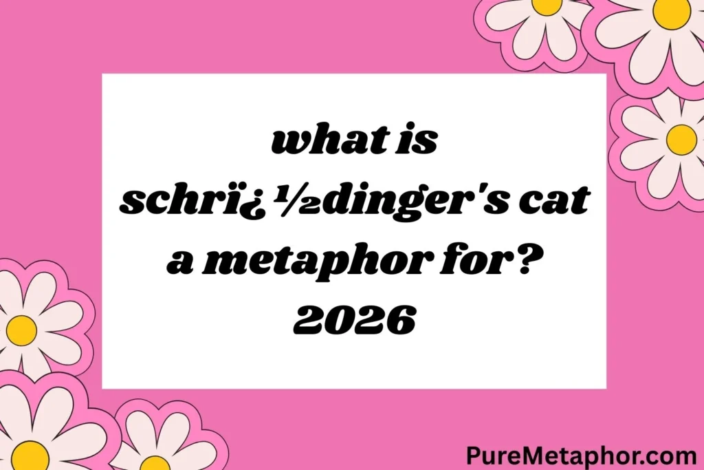 what is schrï¿½dinger's cat a metaphor for?