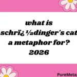 what is schrï¿½dinger's cat a metaphor for?