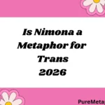 Is Nimona a Metaphor for Trans?