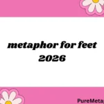 metaphor for feet