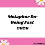 metaphor for going fast