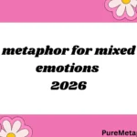 metaphor for mixed emotions
