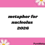 metaphor for nucleolus