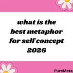what is the best metaphor for self concept