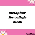 metaphor for college