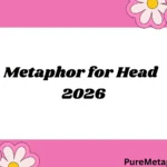 Metaphor for Head