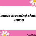 amos meaning slang