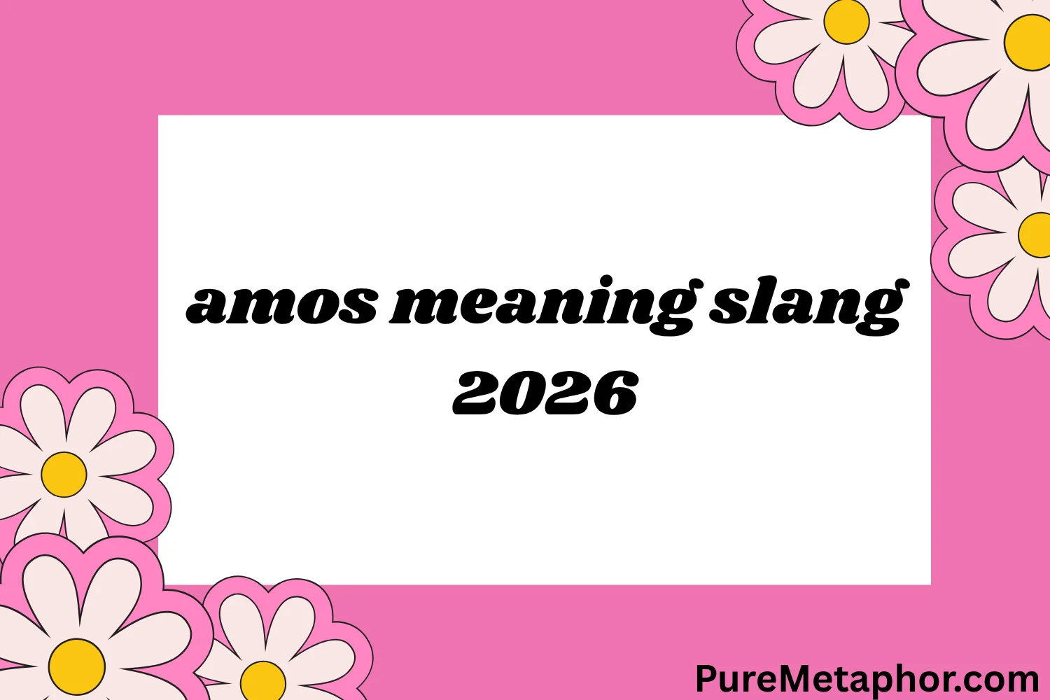 amos meaning slang