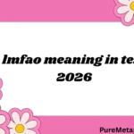 lmfao meaning in text