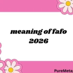 meaning of fafo