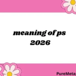 meaning of ps
