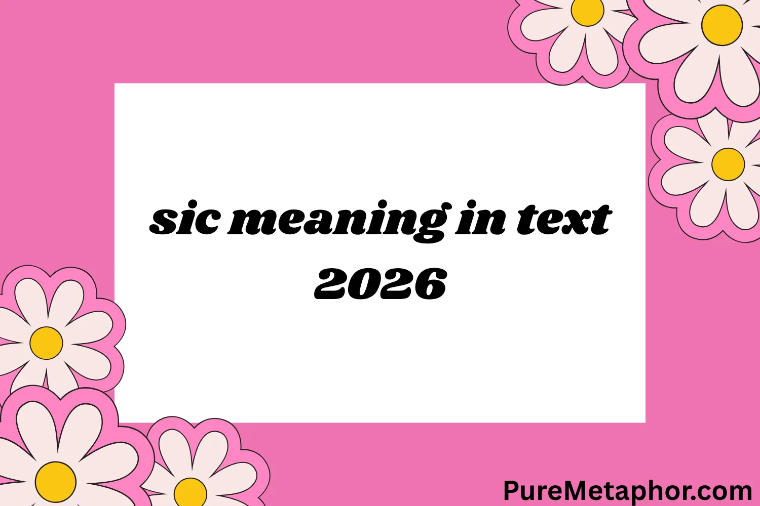 sic meaning in text