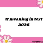 tt meaning in text