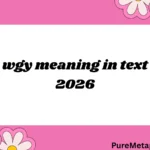 wgy meaning in text