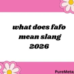 what does fafo mean slang