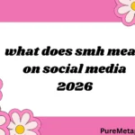 what does smh mean on social media